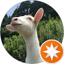 たまごっち profile picture