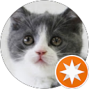 忍者ネコ profile picture