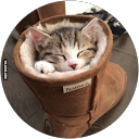 まっち profile picture