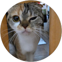 ちくわ（ちくわ） profile picture