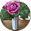 haruchin oozawa profile picture