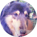 アルタ profile picture