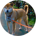 チャロ profile picture