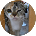 ちくわ（ちくわ） profile picture